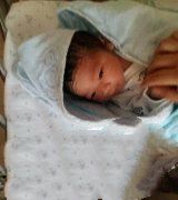 lesbian试管组建完美家庭