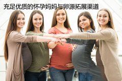 充足优质的怀代代妈与卵源拓展渠道