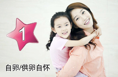 自卵自怀方案