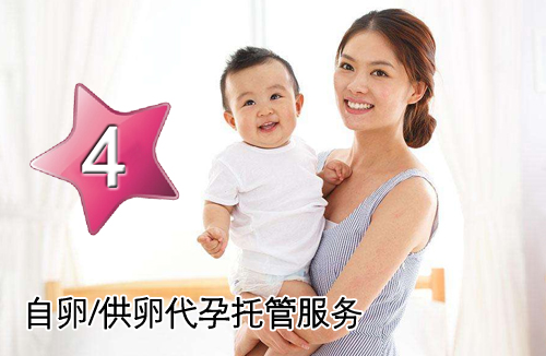 自卵助孕托管服务方案