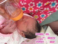 多囊卵巢造就不孕 试管婴儿来送子