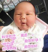 恭喜广东G总，喜得贵子