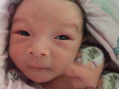 染色体易位代妈成功植入两个健康胚胎