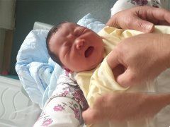 死精症成功助孕