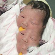 血脉的传承，十月弄璋的责任