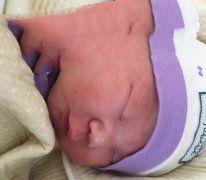 广州董先生喜得一子